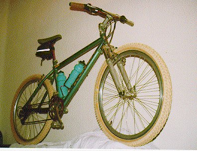 bicilkona.jpg (50464 bytes)